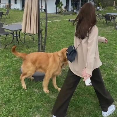 陀枪师姐3