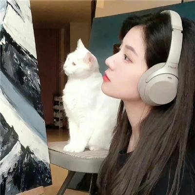 瑞奇和闪电